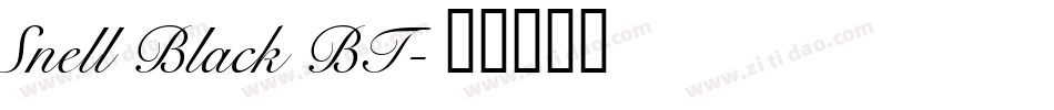 Snell Black BT字体转换